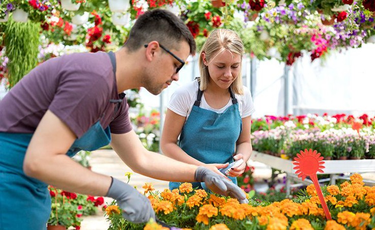 Gärtner/in Ausbildung Gehalt & freie Stellen