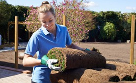 Ausbildung Landschaftsgärtner Freie Stellen & Gehalt