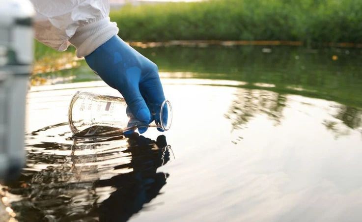 Wasserprobe wird aus einem See entnommen.